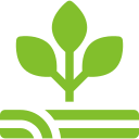 Agriculture & Agro Solutions